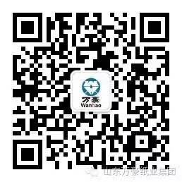 山东合乐HL8集团纸业集团股份有限公司